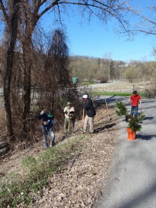 Volunteers planting trees at the Winooski Waste Water Treatment Plant