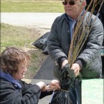 Tree Sale